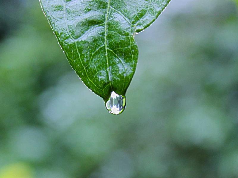 烟雨江南<br>qyw0fsis.cn 水乡梦境漫游